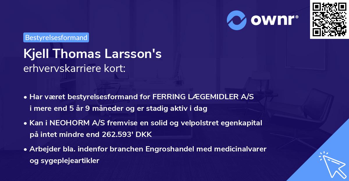 Kjell Thomas Larsson's erhvervskarriere kort