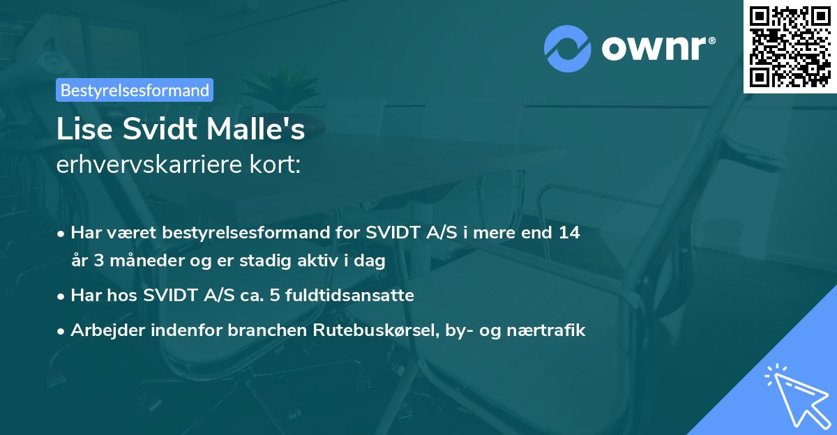 Lise Svidt Malle's erhvervskarriere kort