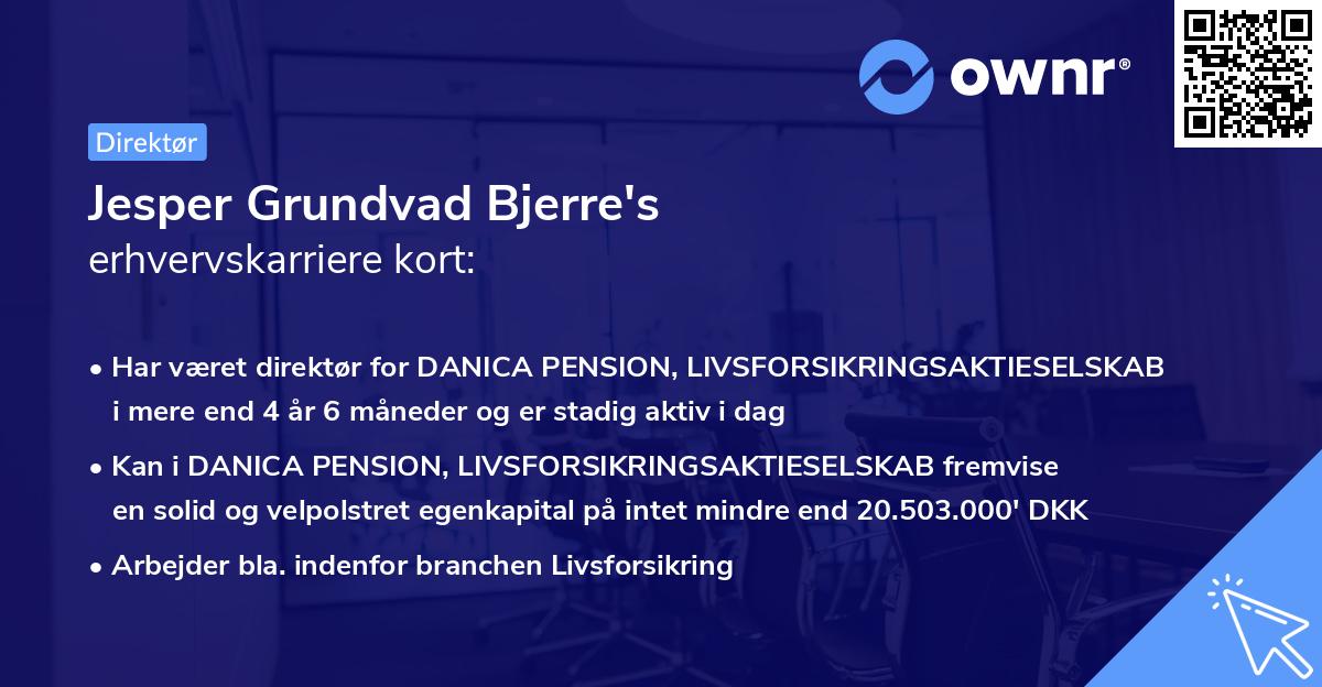 Jesper Grundvad Bjerre's erhvervskarriere kort