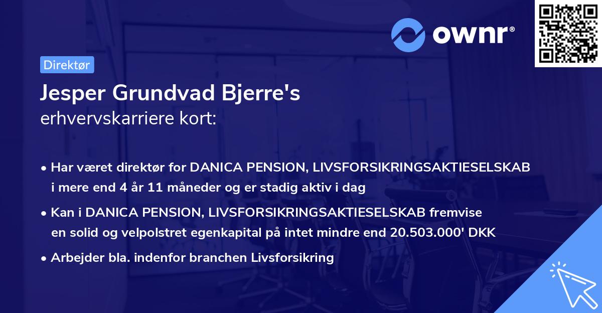 Jesper Grundvad Bjerre's erhvervskarriere kort