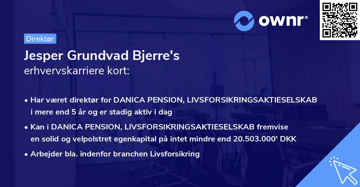 Jesper Grundvad Bjerre's erhvervskarriere kort