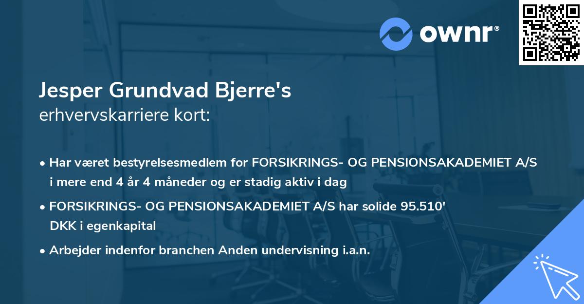 Jesper Grundvad Bjerre's erhvervskarriere kort