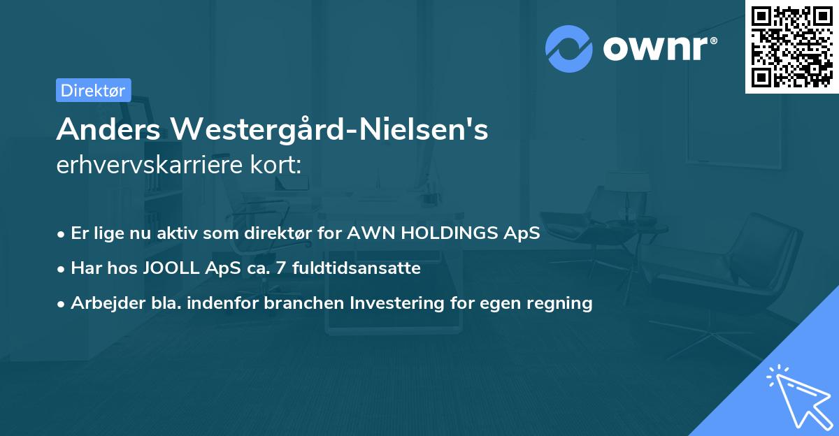 Anders Westergård-Nielsen's erhvervskarriere kort