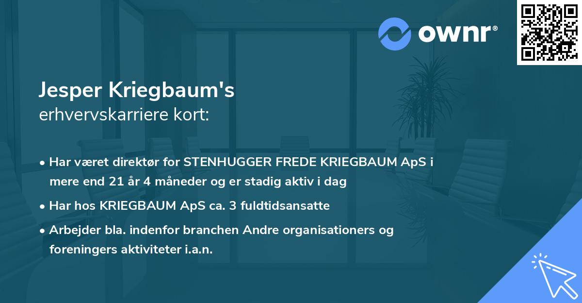 Jesper Kriegbaum's erhvervskarriere kort