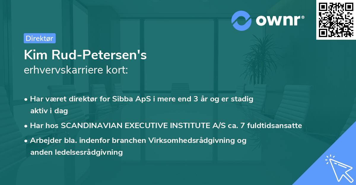 Kim Rud-Petersen's erhvervskarriere kort