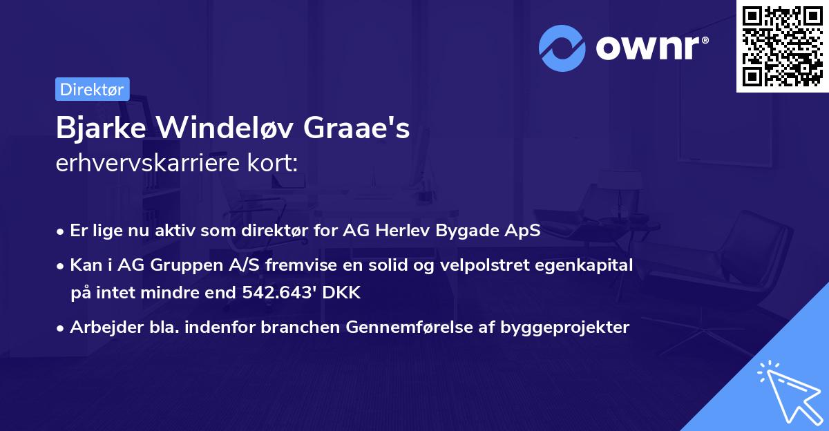 Bjarke Windeløv Graae's erhvervskarriere kort