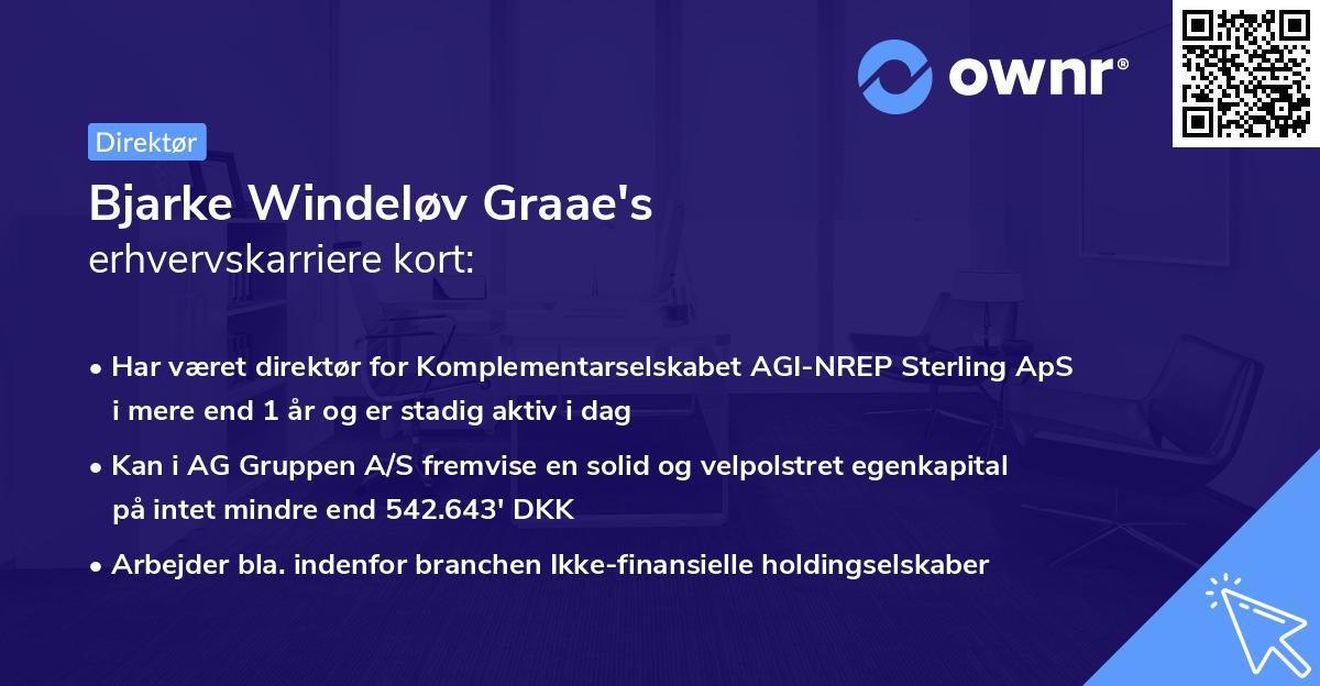 Bjarke Windeløv Graae's erhvervskarriere kort