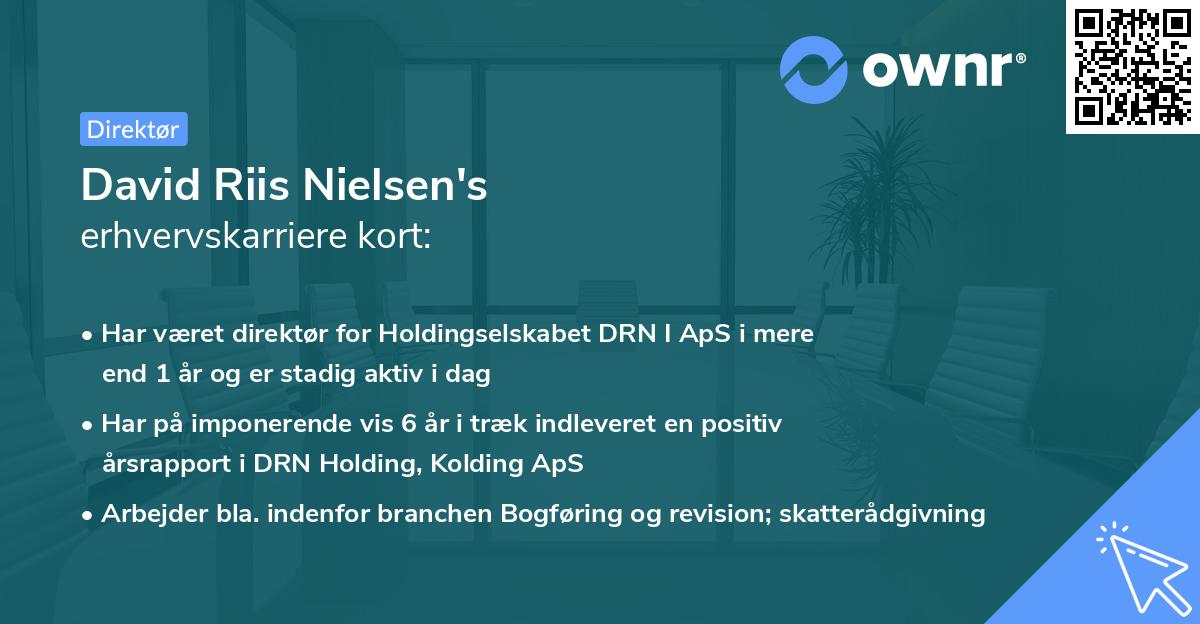 David Riis Nielsen's erhvervskarriere kort