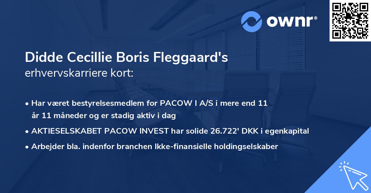 Didde Cecillie Boris Fleggaard's erhvervskarriere kort