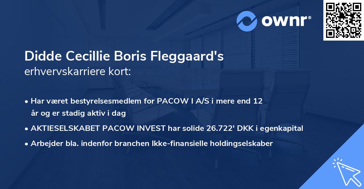 Didde Cecillie Boris Fleggaard's erhvervskarriere kort