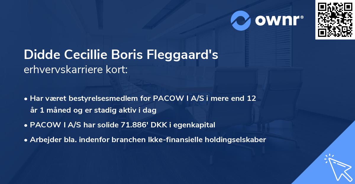 Didde Cecillie Boris Fleggaard's erhvervskarriere kort