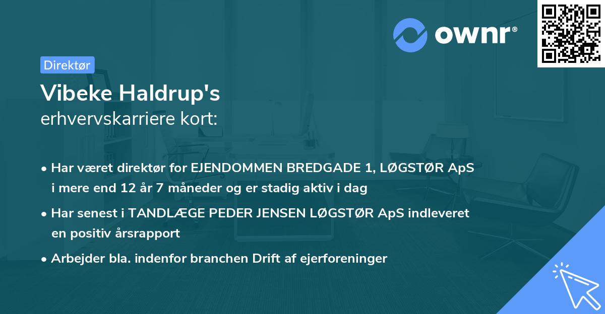 Vibeke Haldrup's erhvervskarriere kort