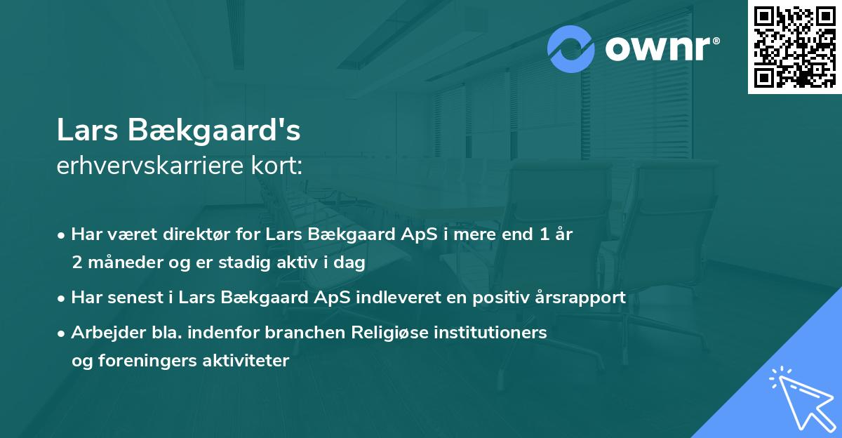 Lars Bækgaard's erhvervskarriere kort