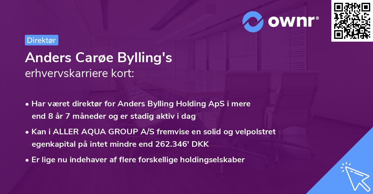 Anders Carøe Bylling's erhvervskarriere kort