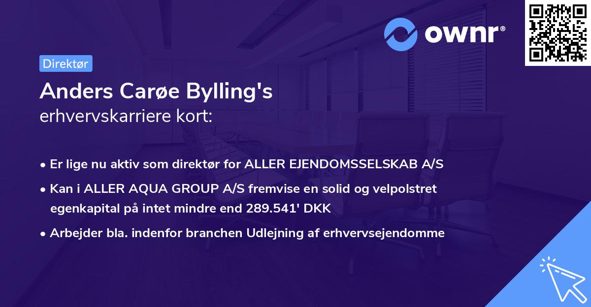Anders Carøe Bylling's erhvervskarriere kort