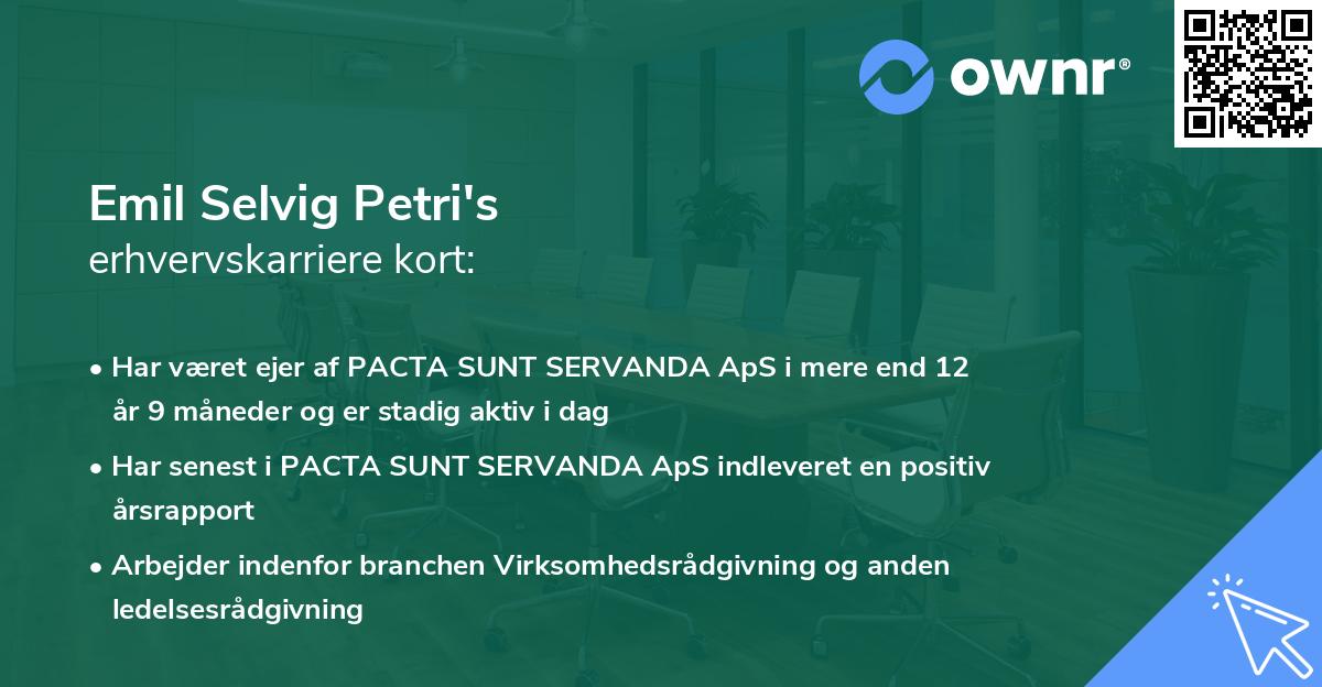 Emil Selvig Petri's erhvervskarriere kort