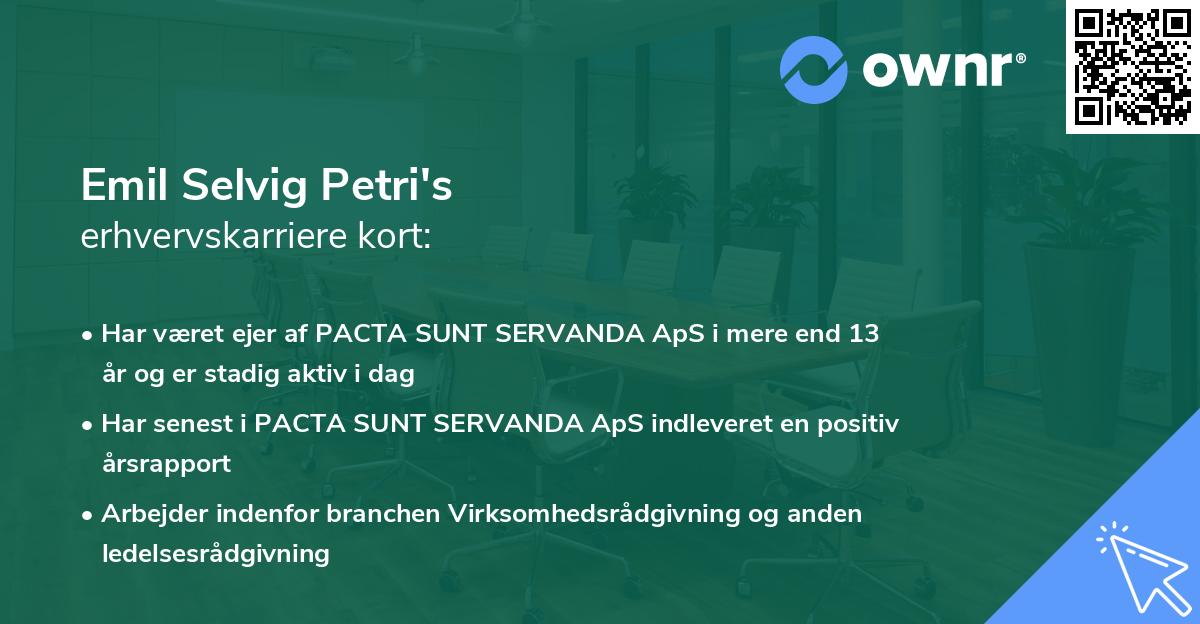 Emil Selvig Petri's erhvervskarriere kort