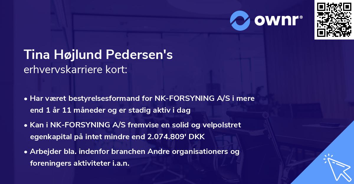 Tina Højlund Pedersen's erhvervskarriere kort
