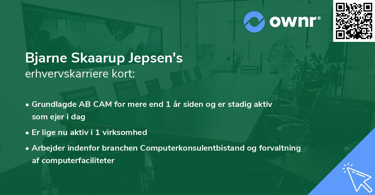 Bjarne Skaarup Jepsen's erhvervskarriere kort