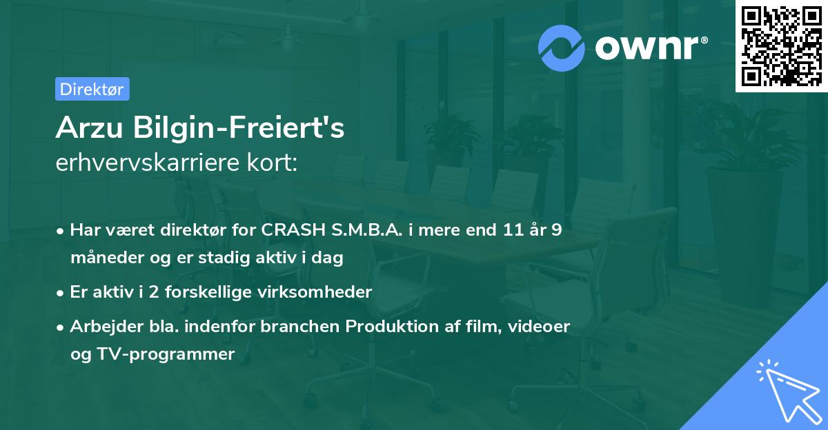 Arzu Bilgin-Freiert's erhvervskarriere kort