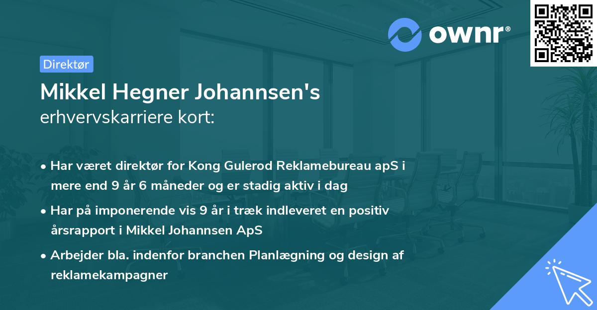 Mikkel Hegner Johannsen's erhvervskarriere kort