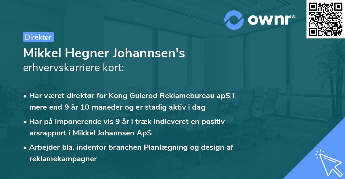 Mikkel Hegner Johannsen's erhvervskarriere kort