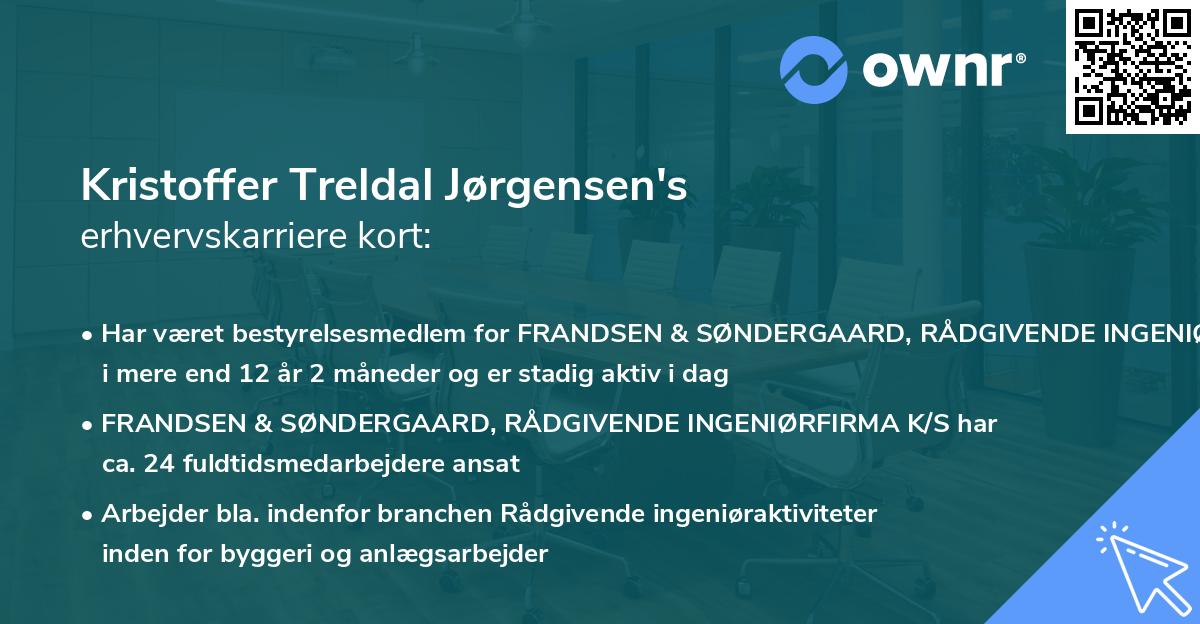 Kristoffer Treldal Jørgensen's erhvervskarriere kort