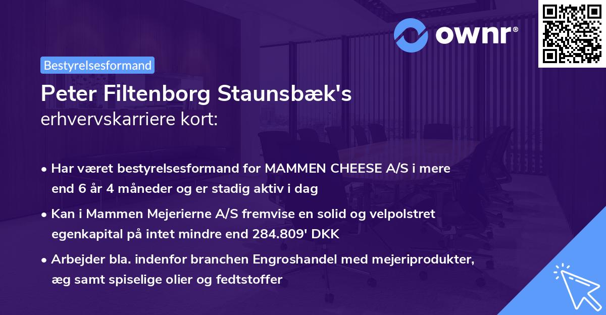 Peter Filtenborg Staunsbæk's erhvervskarriere kort