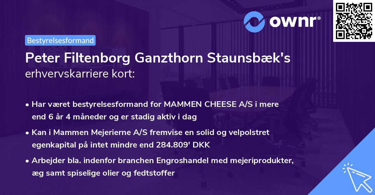 Peter Filtenborg Ganzthorn Staunsbæk's erhvervskarriere kort