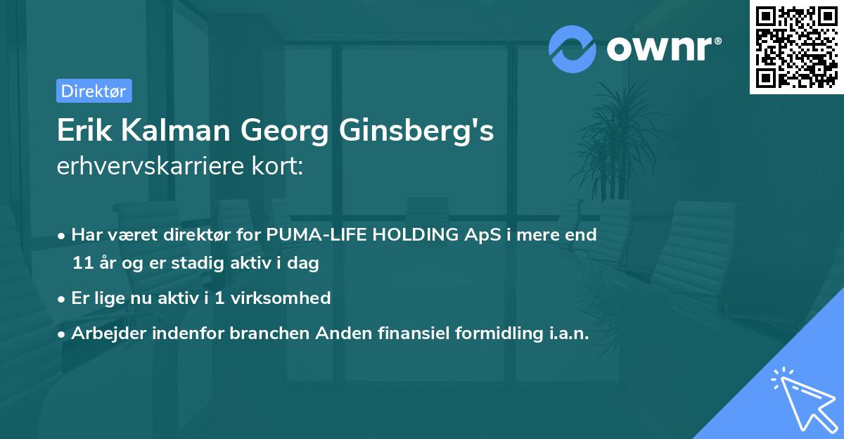 Erik Kalman Georg Ginsberg's erhvervskarriere kort