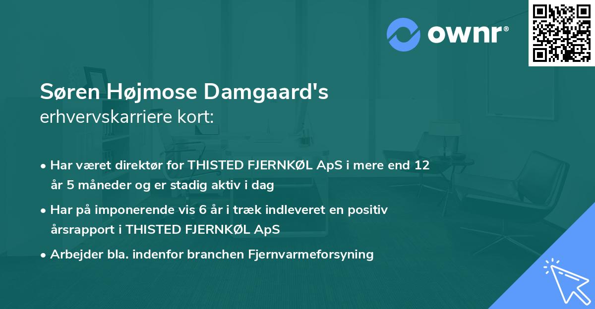Søren Højmose Damgaard's erhvervskarriere kort