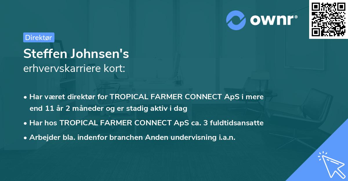 Steffen Johnsen's erhvervskarriere kort