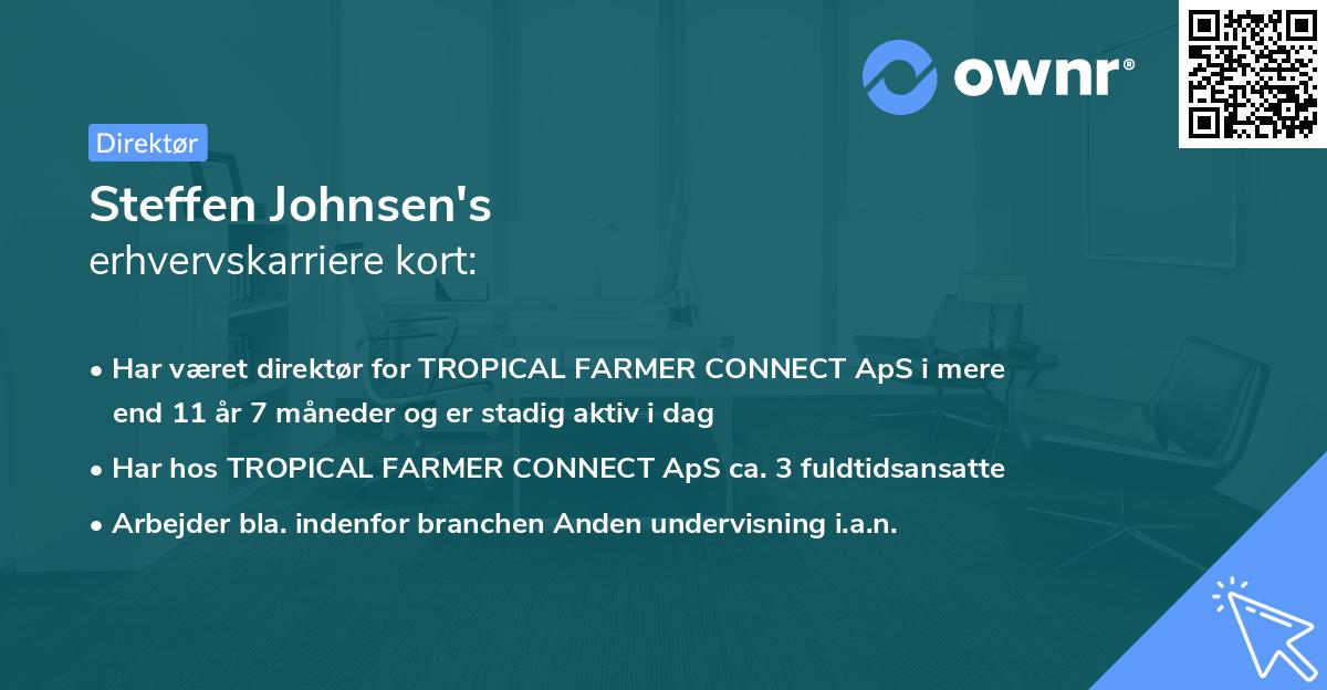 Steffen Johnsen's erhvervskarriere kort