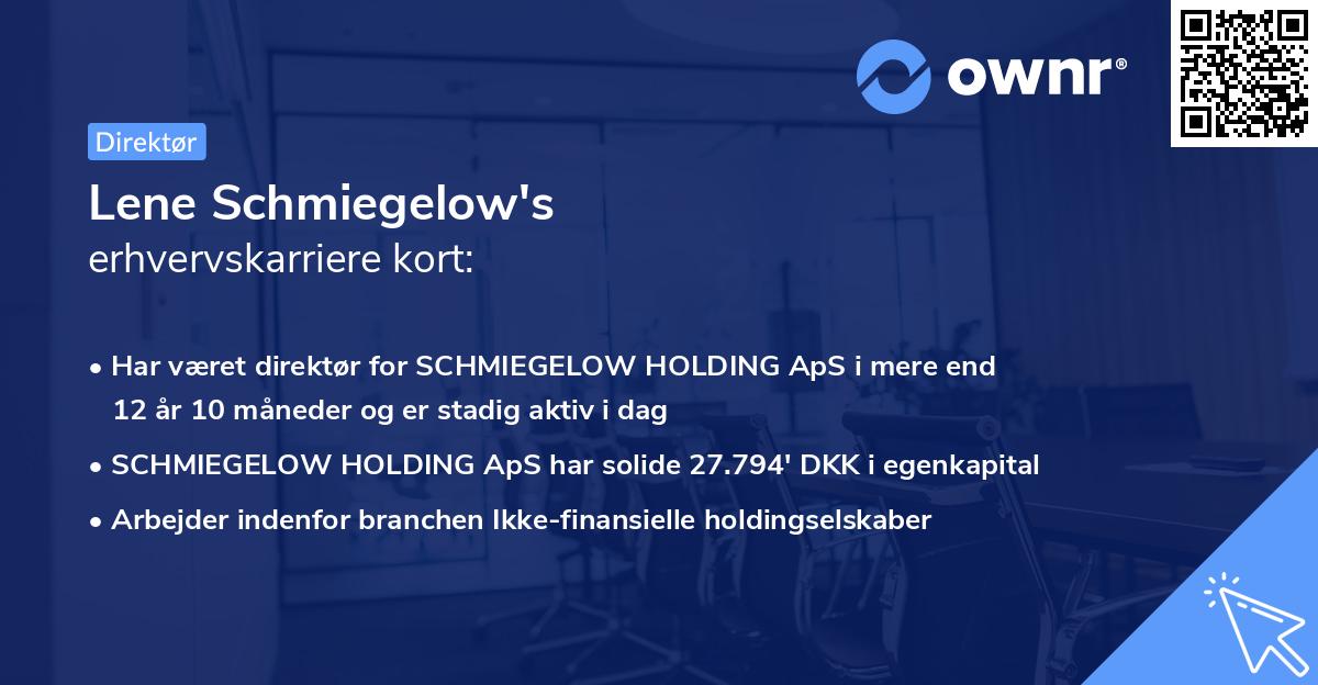 Lene Schmiegelow's erhvervskarriere kort