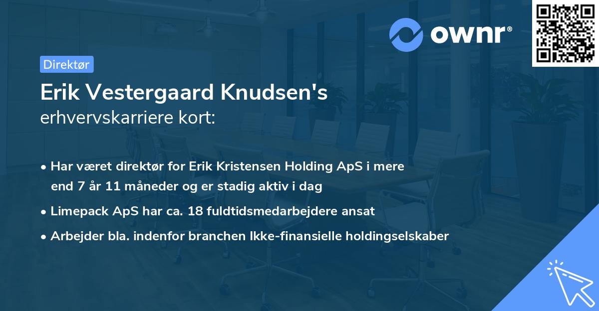 Erik Vestergaard Knudsen's erhvervskarriere kort