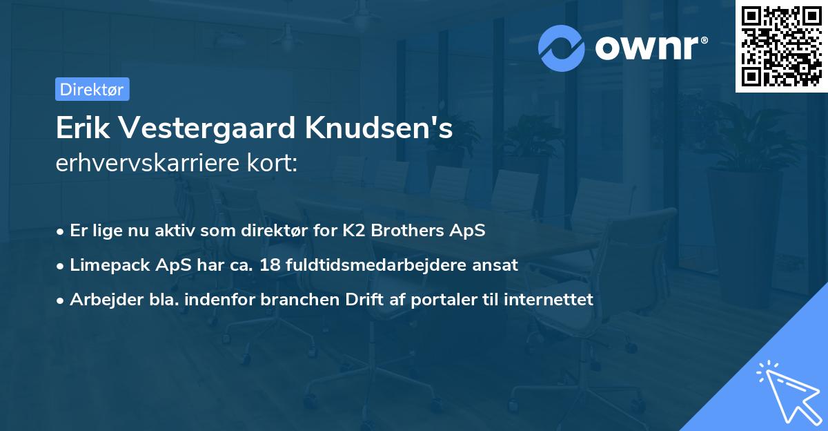 Erik Vestergaard Knudsen's erhvervskarriere kort