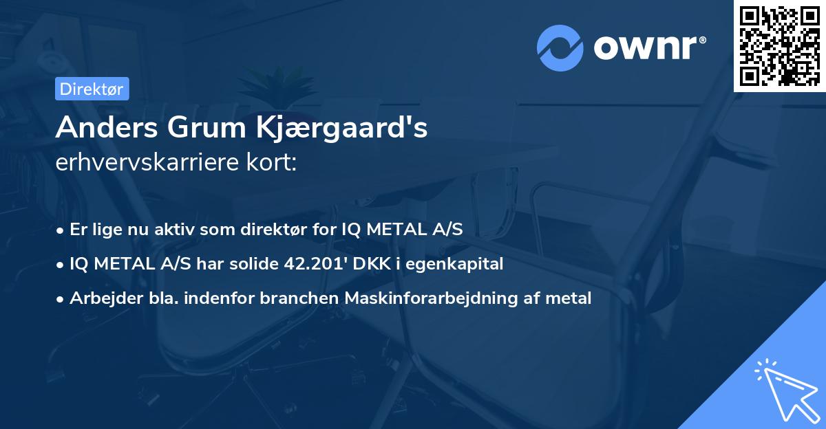 Anders Grum Kjærgaard's erhvervskarriere kort