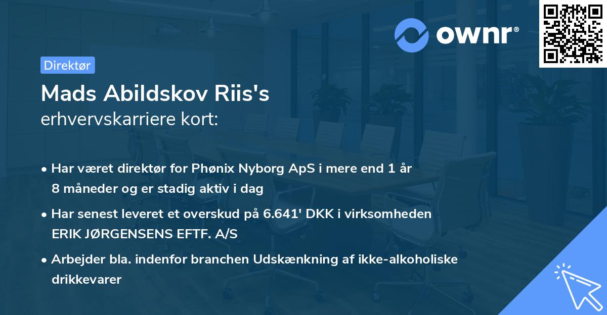 Mads Abildskov Riis's erhvervskarriere kort