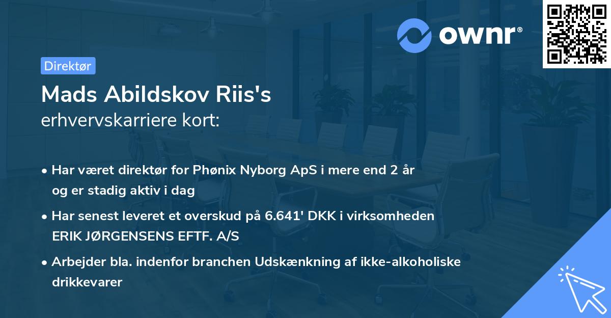 Mads Abildskov Riis's erhvervskarriere kort