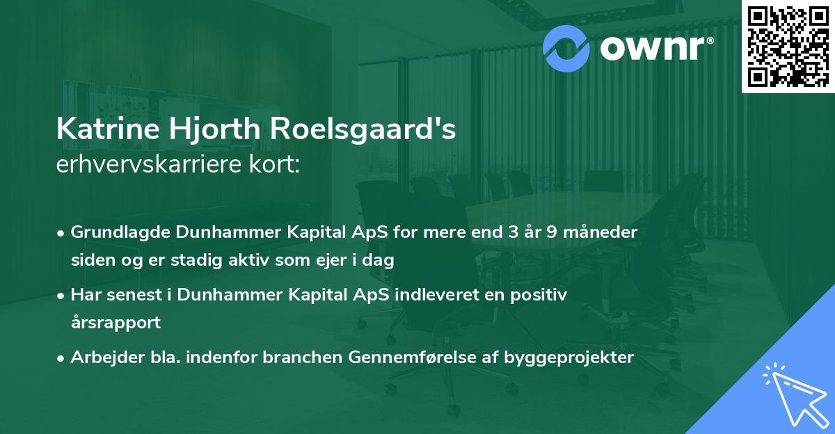 Katrine Hjorth Roelsgaard's erhvervskarriere kort