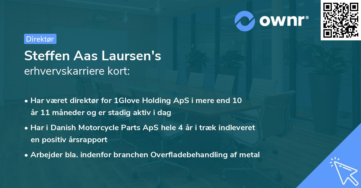 Steffen Aas Laursen's erhvervskarriere kort