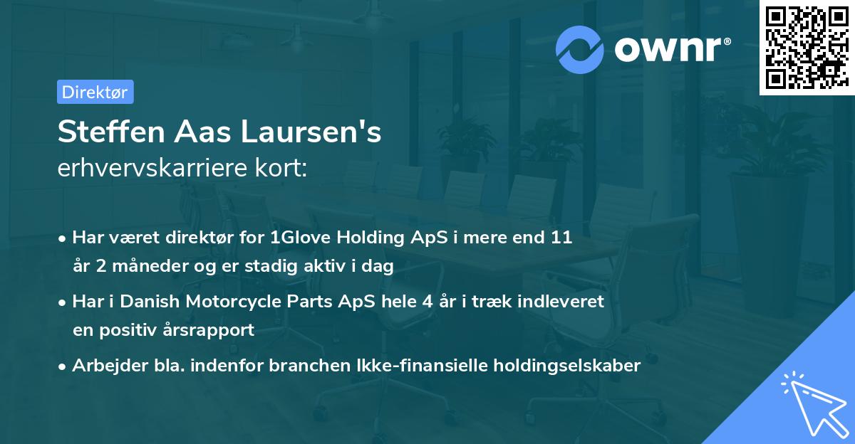 Steffen Aas Laursen's erhvervskarriere kort