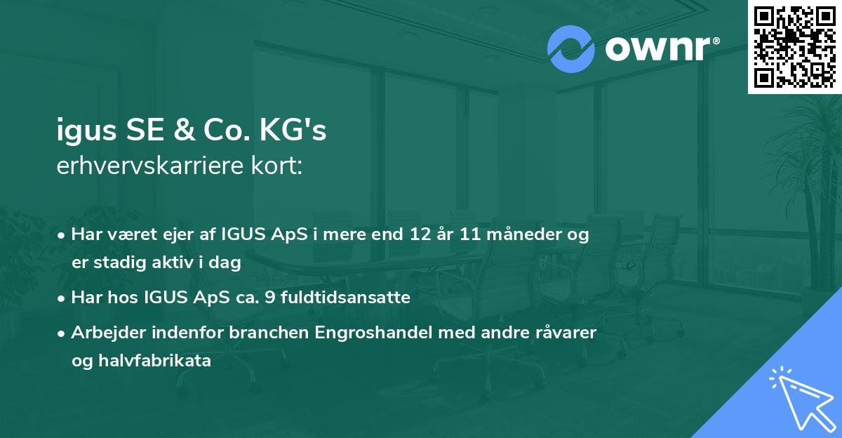 igus SE & Co. KG's erhvervskarriere kort