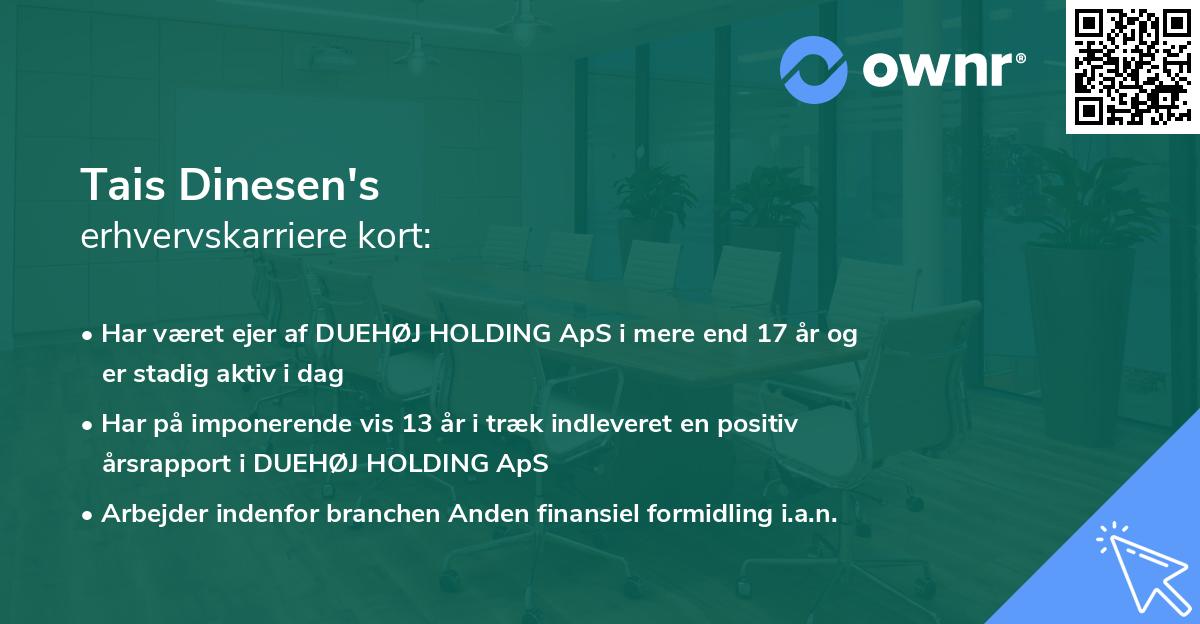 Tais Dinesen's erhvervskarriere kort