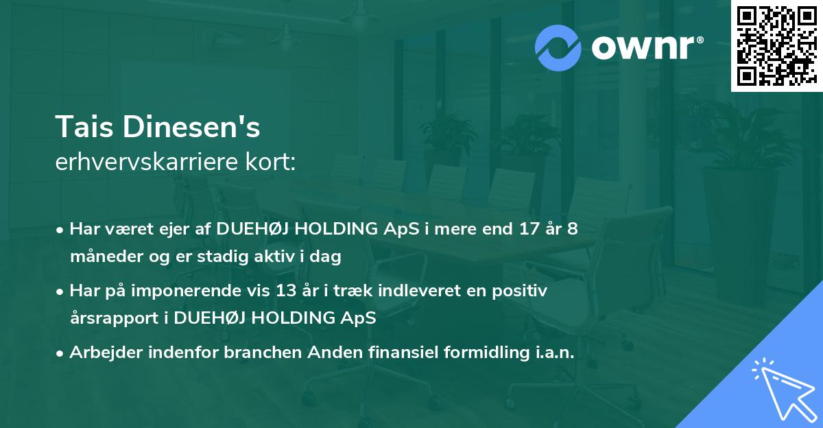 Tais Dinesen's erhvervskarriere kort