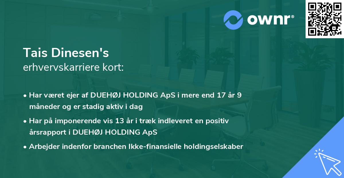 Tais Dinesen's erhvervskarriere kort