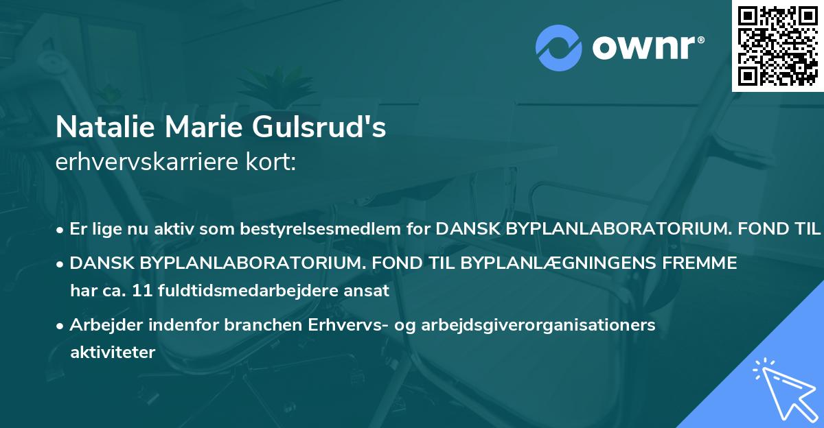 Natalie Marie Gulsrud's erhvervskarriere kort