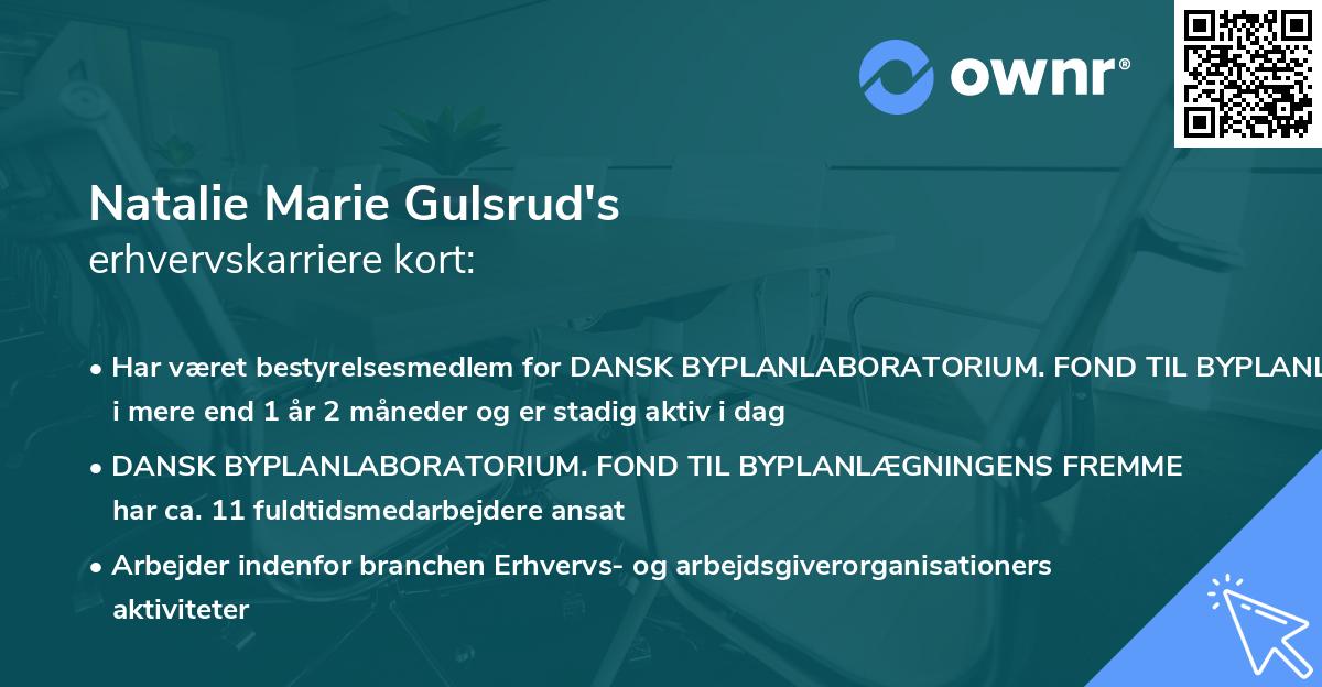 Natalie Marie Gulsrud's erhvervskarriere kort
