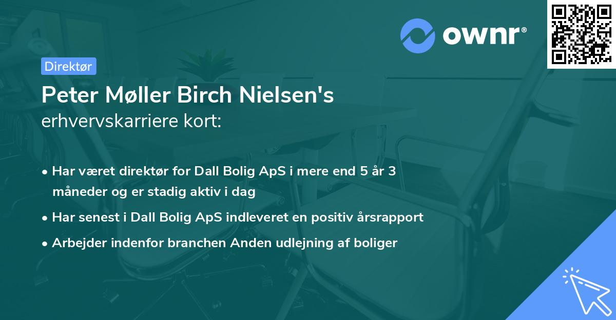 Peter Møller Birch Nielsen's erhvervskarriere kort