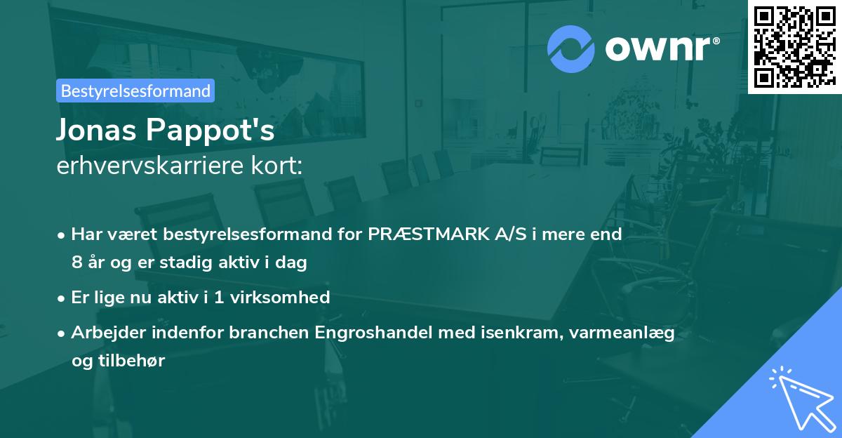 Jonas Pappot's erhvervskarriere kort